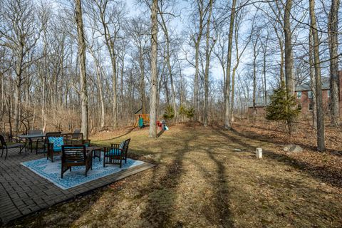 A home in SuperiorCharterTownship_Washtenaw