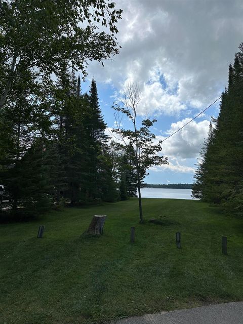 A home in Bear Lake Twp