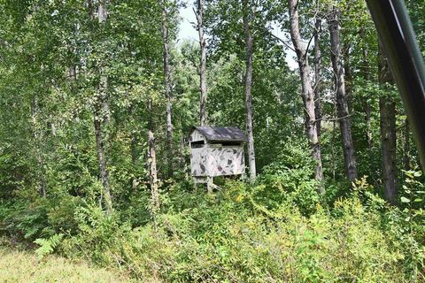 A home in Burleigh Twp