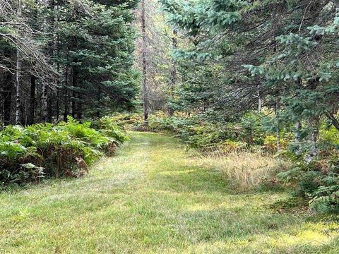 A home in Au Sable Twp