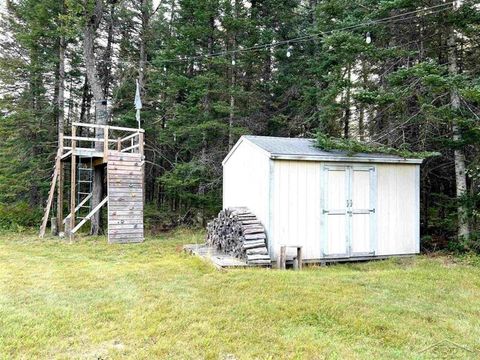 A home in Au Sable Twp