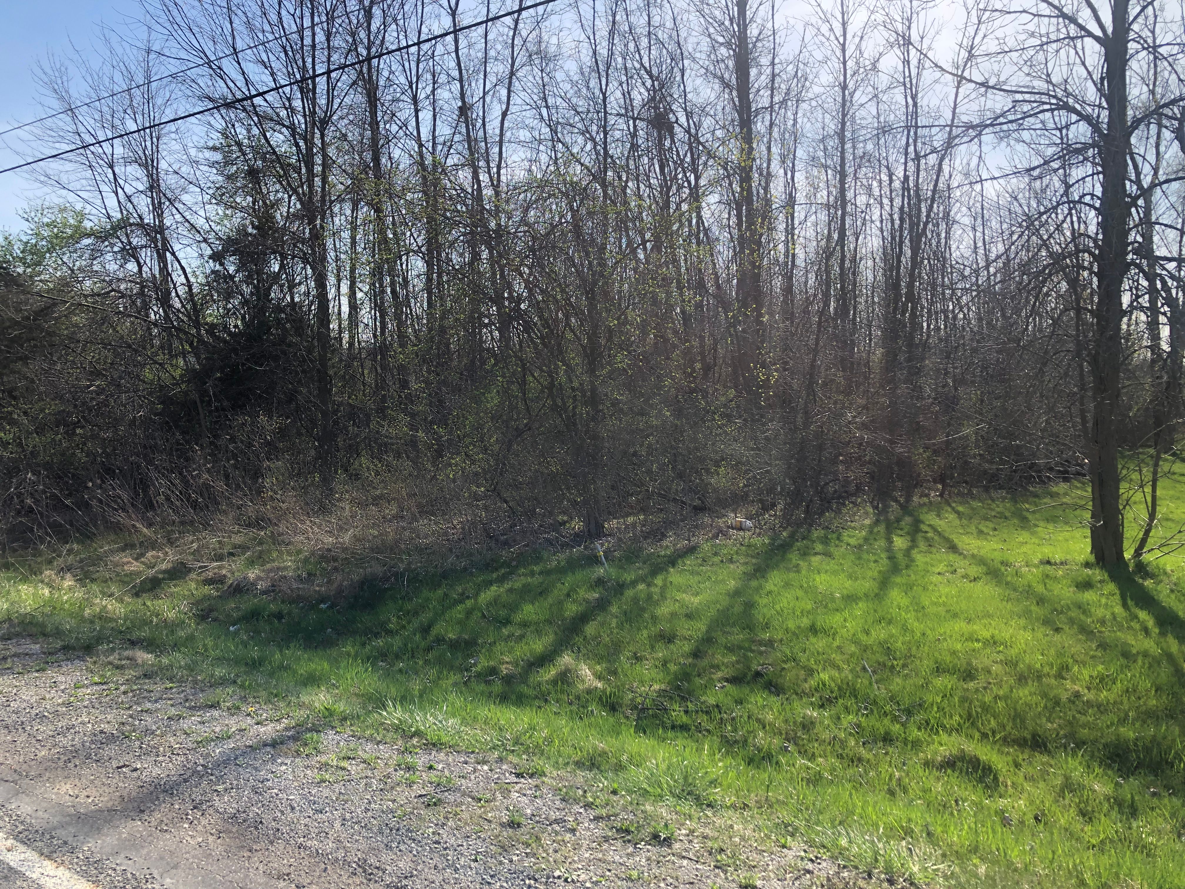 1182 S MORRISH Road
