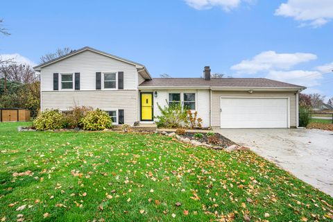 A home in Schoolcraft Vlg