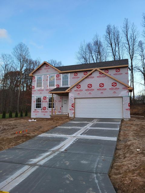 A home in Ionia