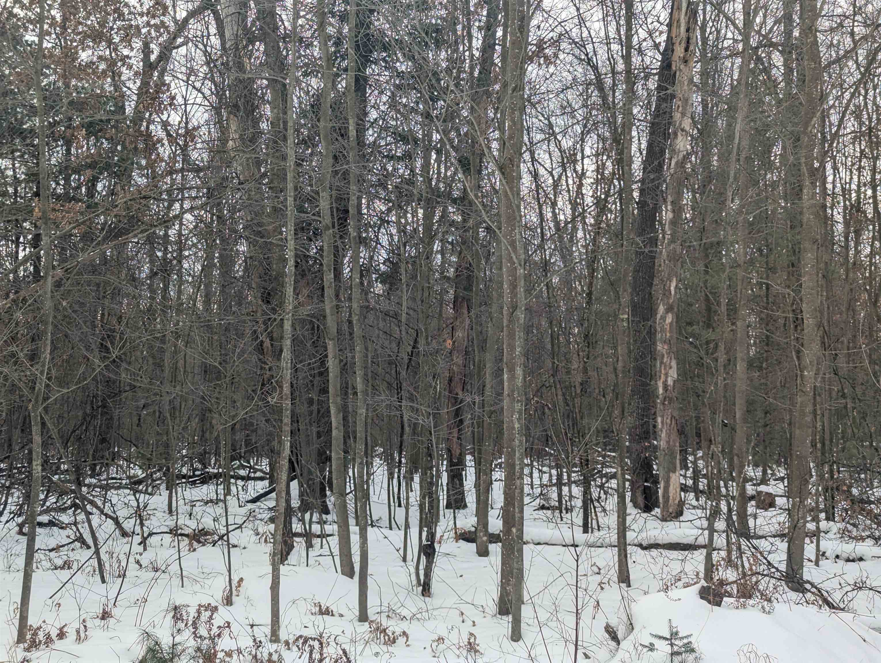 N/A Georgia Edna Lane