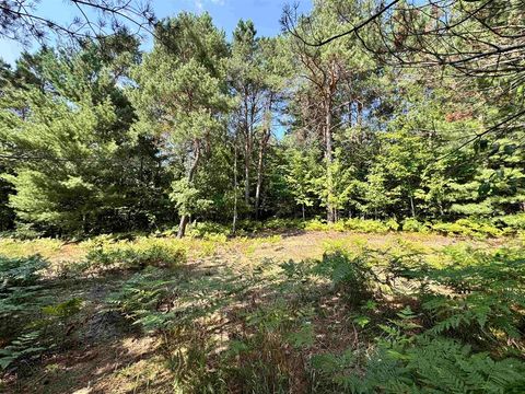 A home in Kalkaska Twp