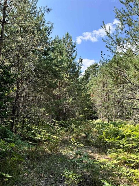 A home in Kalkaska Twp