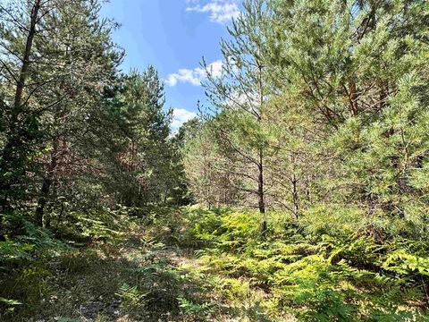 A home in Kalkaska Twp