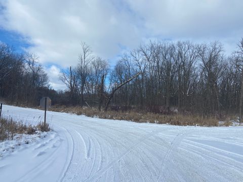 A home in Hartland Twp