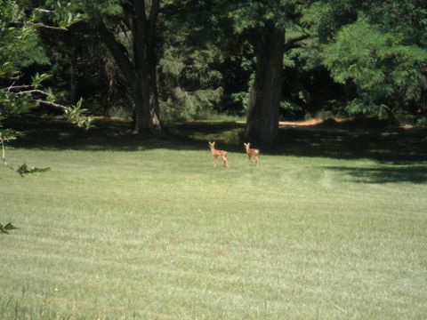 A home in Central Lake Twp