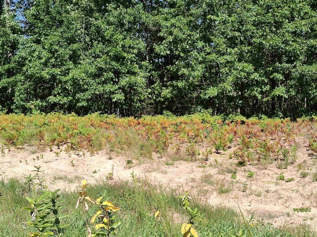 Lot 9 N Circle E