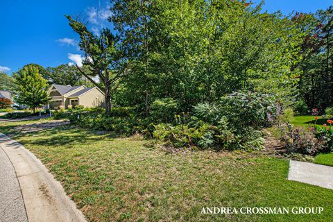 A home in Spring Lake Twp