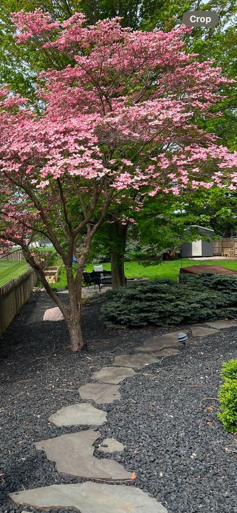 A home in Holland Twp