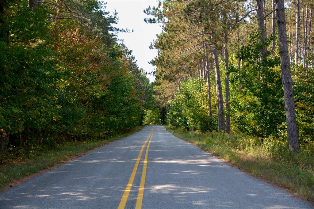 Fritz Road