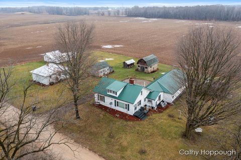 A home in Bushnell Twp