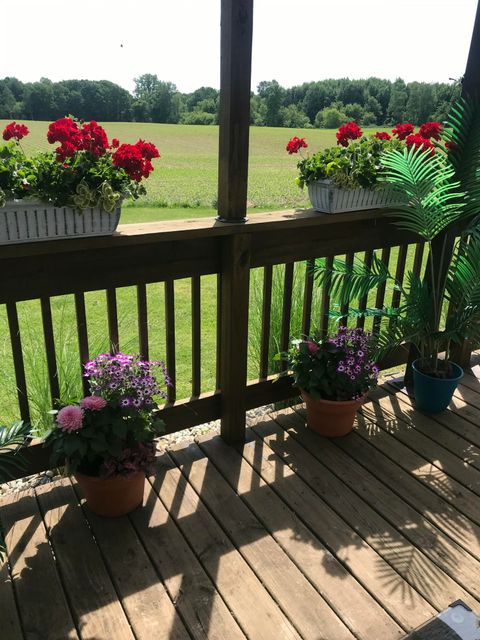 A home in Bushnell Twp