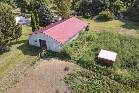 A home in Sprintport Twp