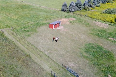 A home in Sprintport Twp