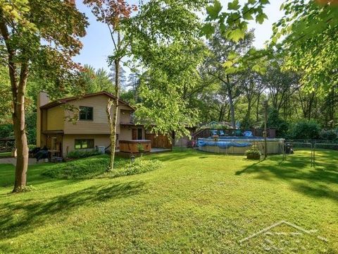 A home in Swan Creek Twp