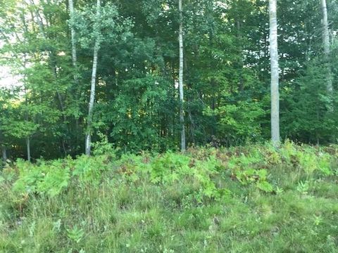 N/A Noble Road Whitney Township MI 48763