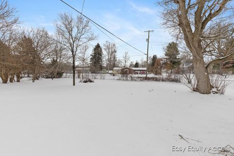 A home in Ionia Twp