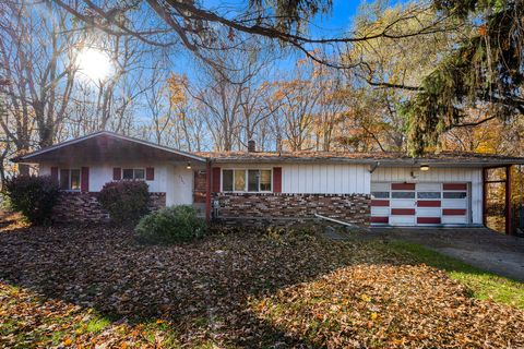 A home in Sodus Twp