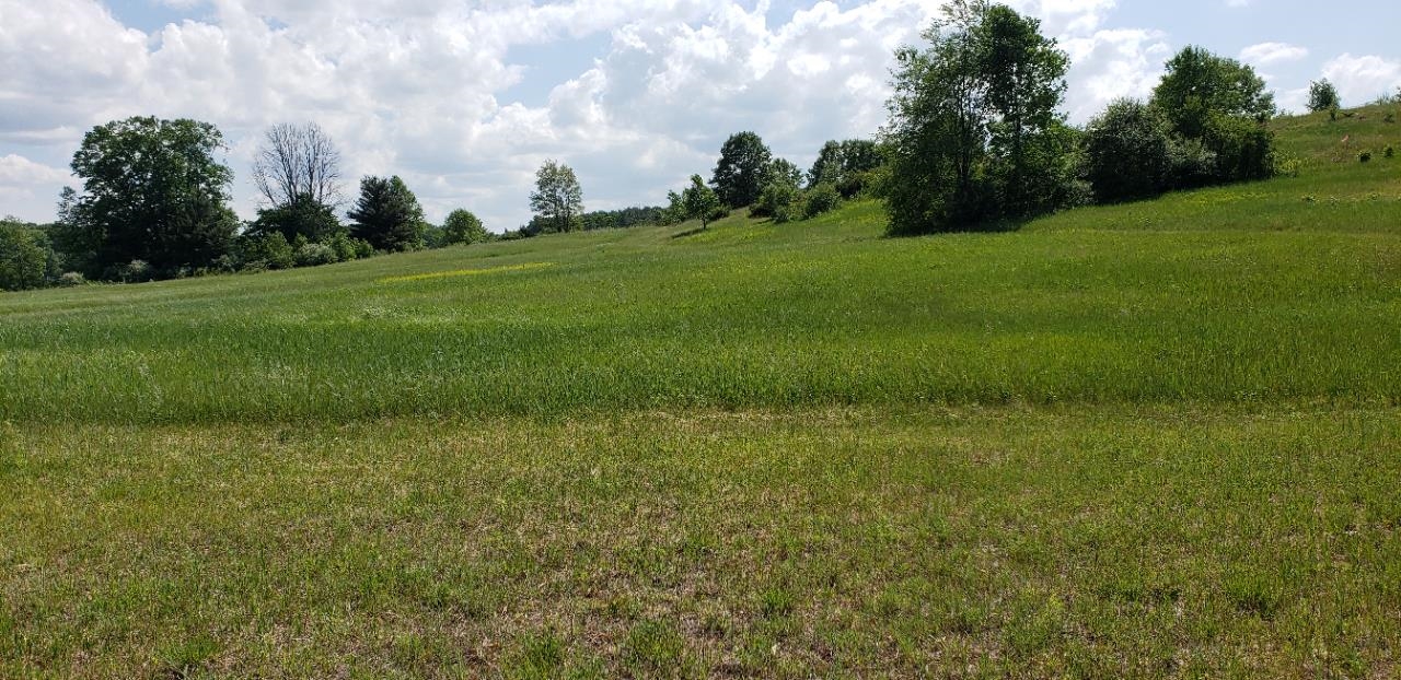 Lot 38 Alden Meadows
