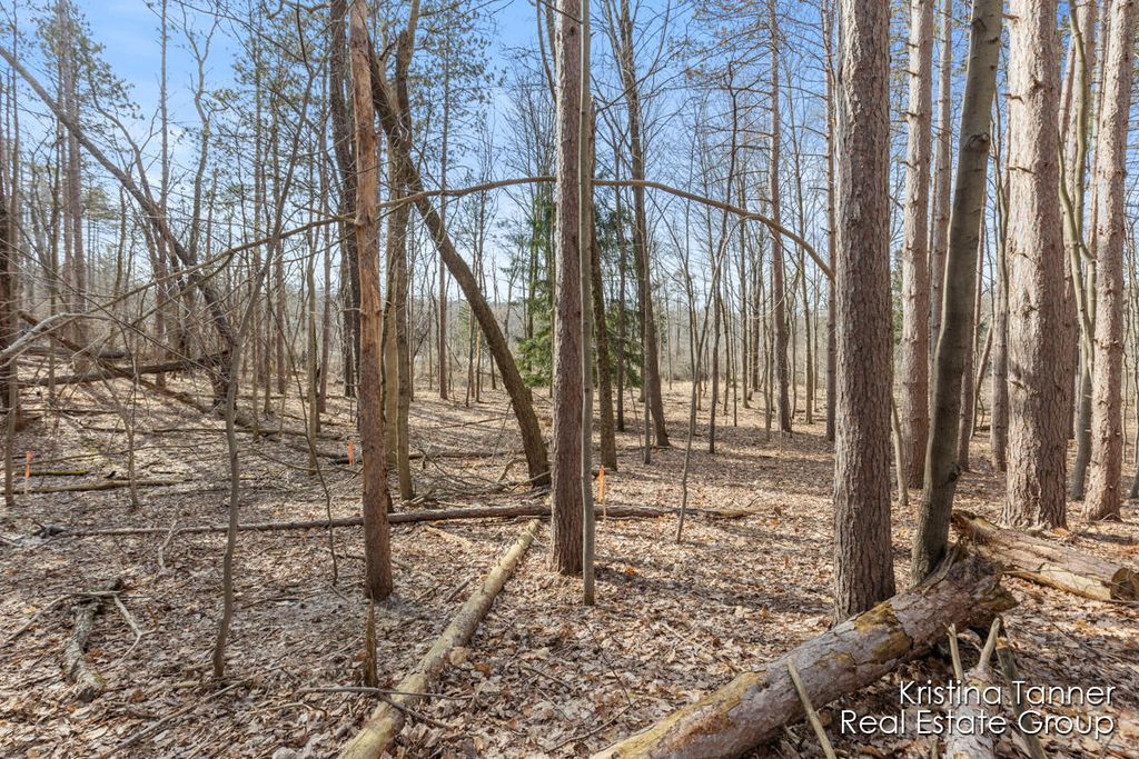 listing image 42