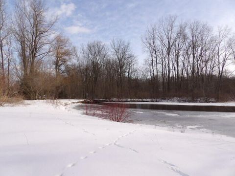 A home in Orangeville Twp