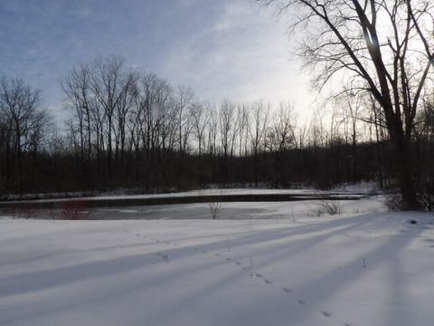 A home in Orangeville Twp