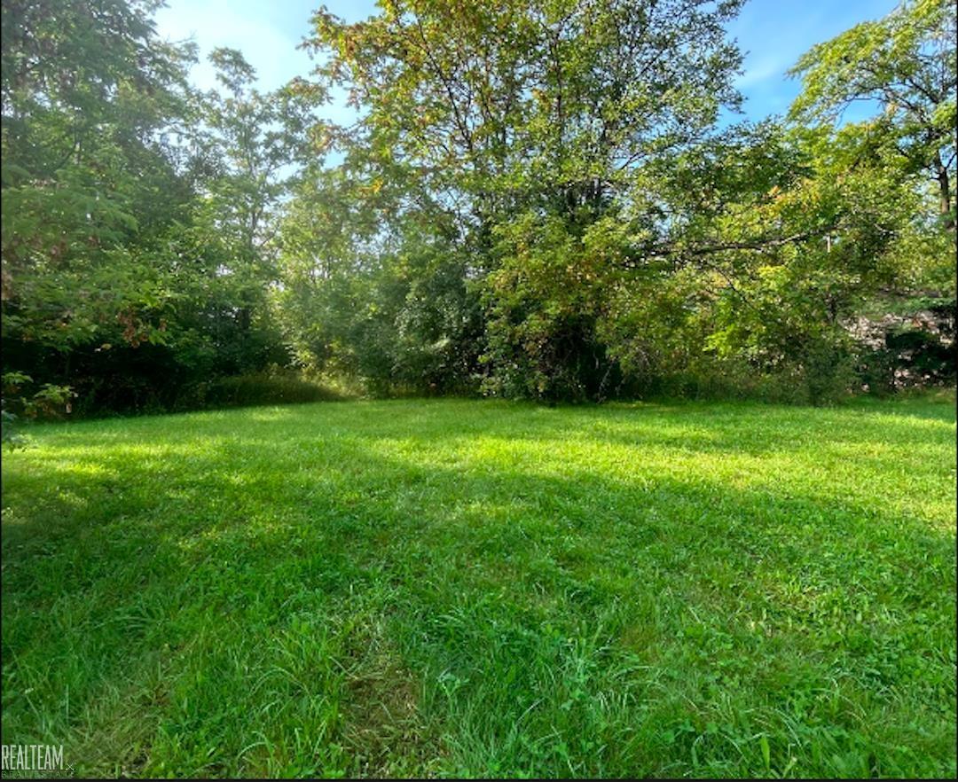 Photo 1 of 3 — 418 E Foss Avenue, Flint City, MI 48505