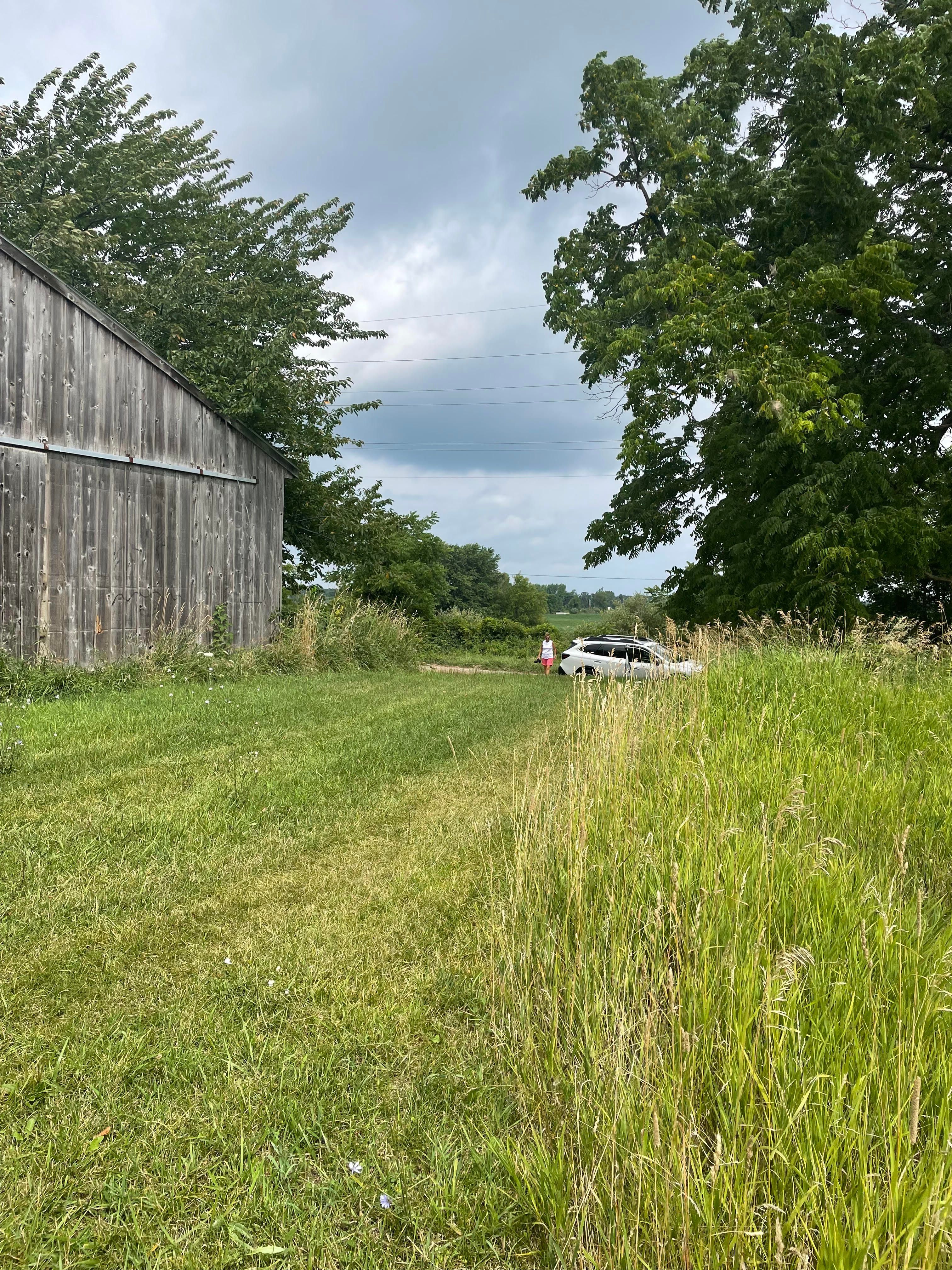 0000 BRAUER Road