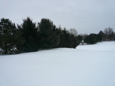 A home in Caledonia Twp