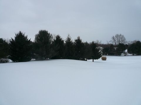 A home in Caledonia Twp