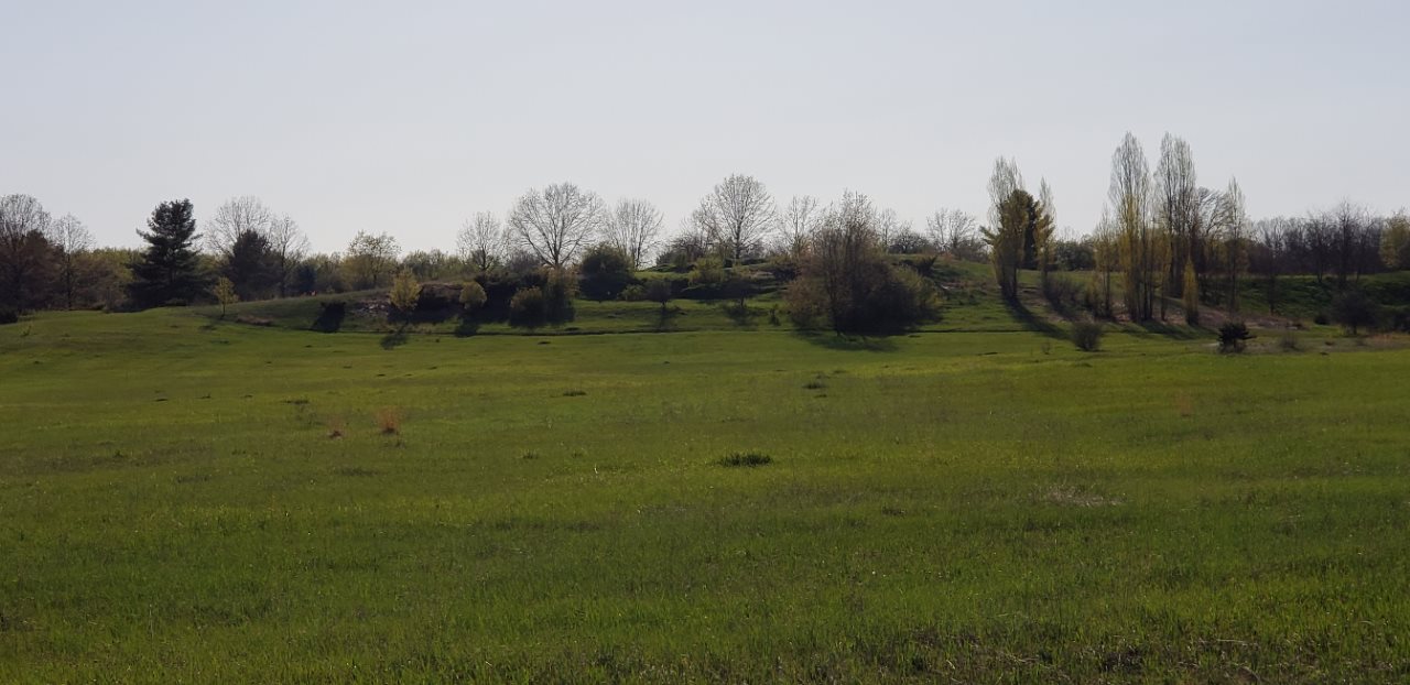 Lot 42 Alden Meadows