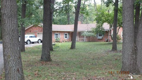 A home in Dundee Twp