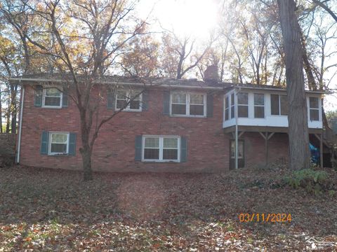 A home in Dundee Twp