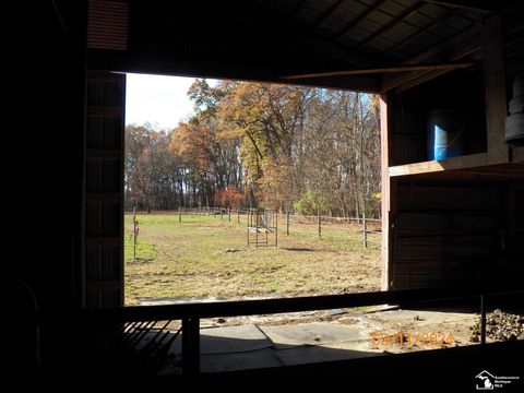 A home in Dundee Twp