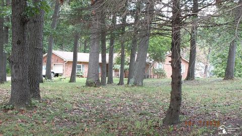 A home in Dundee Twp