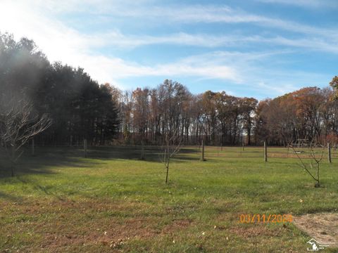 A home in Dundee Twp