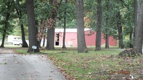 A home in Dundee Twp