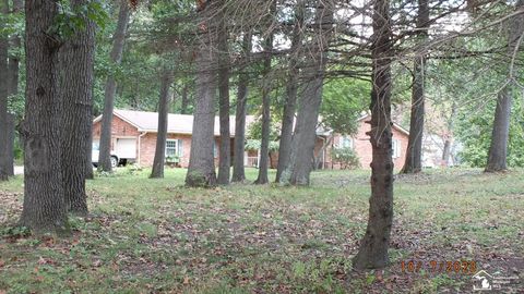 A home in Dundee Twp