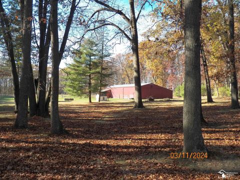 A home in Dundee Twp