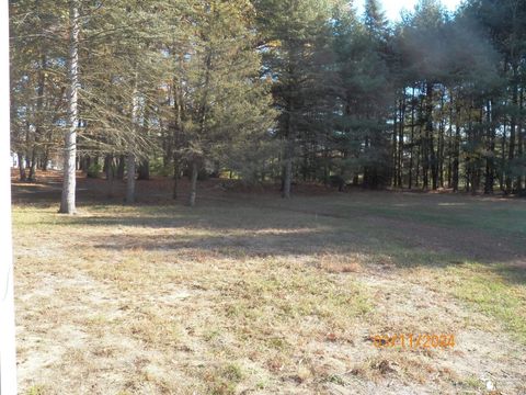 A home in Dundee Twp