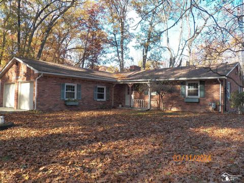 A home in Dundee Twp