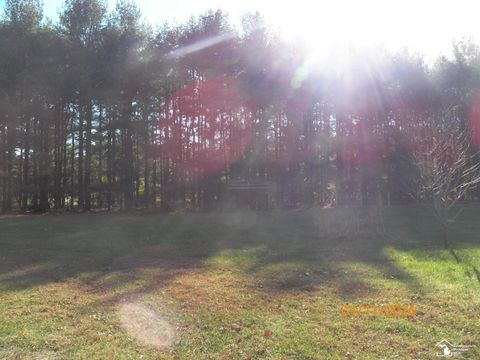 A home in Dundee Twp