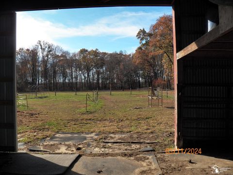 A home in Dundee Twp