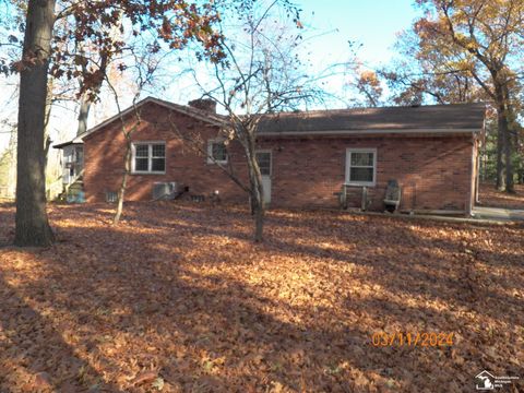 A home in Dundee Twp