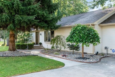 A home in Beaverton Twp