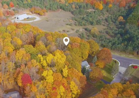 A home in Custer Twp